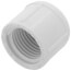 1/2" PVC Schedule 40 Female Cap