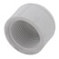 3/4" PVC Schedule 40 Female Cap