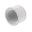 3/4" PVC Schedule 40 Female Cap