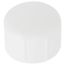 1" PVC Schedule 40 Female Cap