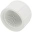 1" PVC Schedule 40 Female Cap