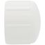 1" PVC Schedule 40 Female Cap