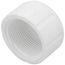 1-1/4" PVC Schedule 40 Female Cap
