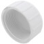 2" PVC Schedule 40 Female Cap
