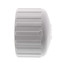 2-1/2" PVC Schedule 40 Female Cap
