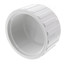 2-1/2" PVC Schedule 40 Female Cap