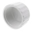 12" PVC Schedule 40 Female Cap