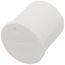 3/4" PVC Schedule 40 Plug