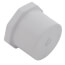 1" PVC Schedule 40 Counter Sunk Plug