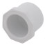 1" PVC Schedule 40 Counter Sunk Plug