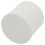 1" PVC Schedule 40 Plug