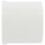 1" PVC Schedule 40 Plug