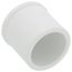 1" PVC Schedule 40 Plug
