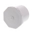 1-1/4" PVC Schedule 40 Plug