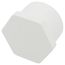 2" PVC Schedule 40 Plug