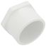 2" PVC Schedule 40 Plug