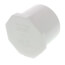 2-1/2" PVC Schedule 40 Plug