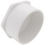 6" PVC Schedule 40 Plug