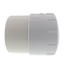 8" PVC Schedule 40 Plug