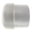 10" PVC Schedule 40 Plug