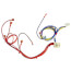 Wiring Harness, 45-24371-20