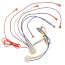 Wiring Harness, 45-24371-21