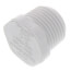 1/2" PVC Schedule 40 Male Threaded Plug