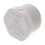 3/4" PVC Schedule 40 Male Threaded Plug