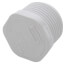 1" PVC Schedule 40 Male Threaded Plug