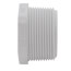 1-1/2" PVC Schedule 40 Male Threaded Plug