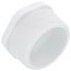 2" PVC Schedule 40 Male Threaded Plug