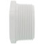 2-1/2" PVC Schedule 40 Male Threaded Plug