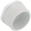 2-1/2" PVC Schedule 40 Male Threaded Plug