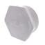3" PVC Schedule 40 Male Threaded Plug