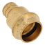 3/4" PEX Crimp x Copper Press Brass Adapter (Lead Free)