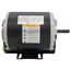 48/56 Frame BD Fan & Blower Motor (1/3 HP, 115/208-230V, 1725 RPM)