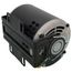 48/56 Frame BD Fan & Blower Motor (1/3 HP, 115/208-230V, 1725 RPM)