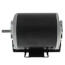 48/56 Frame Belt Drive Fan & Blower Motor (1/4 HP, 115V, 1725 RPM)