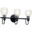 Greenbrier 3 Light Vanity Light (Black)