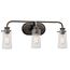 Braelyn 24" 3 Light Vanity Light w/ Clear Seeded Glass (Olde Bronze)