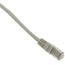 Splitter Cable - CAT5E RJ45 Male to Female/Female - 6", 455176
