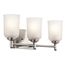 Shailene 21" 3 Light Vanity Light w/ Satin Etched Glass (Olde Bronze)