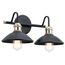 Clyde 2 Light Vanity Light (Black)