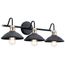 Clyde 3 Light Vanity Light (Black)