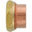 1-1/2" Copper DWV Fitting Trap Adapter (FTG x Slip Joint)
