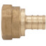 1/2" PEX x 1/2" NPT Brass Female Adapter (Lead Free)