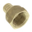 3/4" PEX x 3/4" NPT Brass Female Adapter (Lead Free)