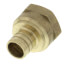 3/4" PEX x 3/4" NPT Brass Female Adapter (Lead Free)