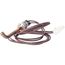 Low Pressure Switch, 47-102876-03