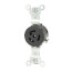 Industrial Grade Locking Receptacle, 15A, 2P, NEMA L5-15R - Black (125V)